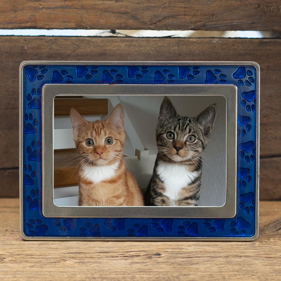Best Friends Blue Picture Frame