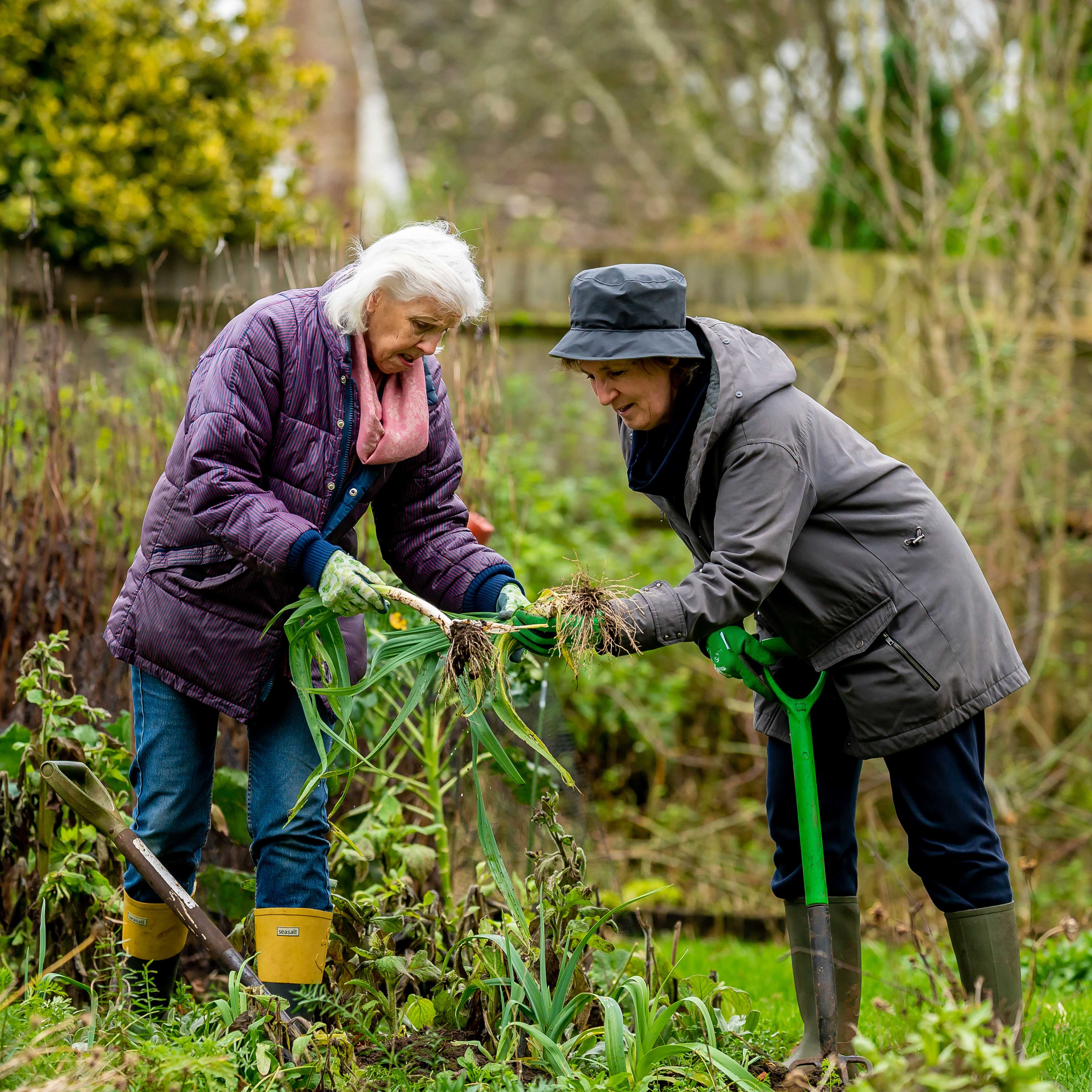 plantng-a-garden.jpg